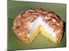 Lemon Meringue Pie-null-Mounted Photographic Print