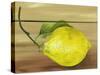 Lemon on a box-Gigi Begin-Stretched Canvas