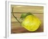 Lemon on a box-Gigi Begin-Framed Giclee Print