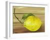 Lemon on a box-Gigi Begin-Framed Giclee Print