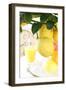 Lemon on a Branch, Citrus Limon-Sweet Ink-Framed Photographic Print