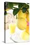 Lemon on a Branch, Citrus Limon-Sweet Ink-Stretched Canvas