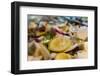 Lemon, onions, in oil-Christine Meder stage-art.de-Framed Photographic Print