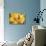 Lemon Orchid II-Dana Styber-Stretched Canvas displayed on a wall