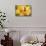 Lemon Orchid II-Dana Styber-Mounted Photographic Print displayed on a wall