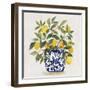 Lemon Plant I-Asia Jensen-Framed Art Print