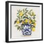 Lemon Plant I-Asia Jensen-Framed Art Print