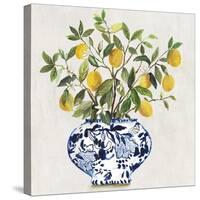 Lemon Plant II-Asia Jensen-Stretched Canvas
