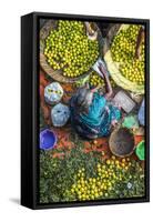 Lemon Seller, K.R. Market, Bangalore (Bengaluru), Karnataka, India-Peter Adams-Framed Stretched Canvas