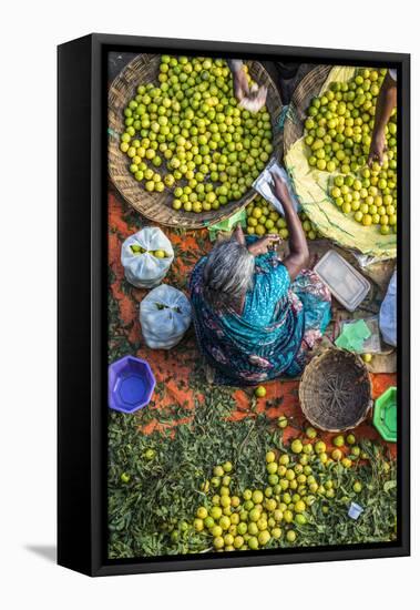 Lemon Seller, K.R. Market, Bangalore (Bengaluru), Karnataka, India-Peter Adams-Framed Stretched Canvas