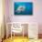 Lemon shark swimming with Remoras, Grand Bahamas-David Fleetham-Stretched Canvas displayed on a wall