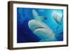 Lemon Sharks, Negaprion Brevirostris, Bahamas, Grand Bahama Island, Atlantic Ocean-Reinhard Dirscherl-Framed Photographic Print