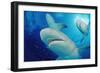 Lemon Sharks, Negaprion Brevirostris, Bahamas, Grand Bahama Island, Atlantic Ocean-Reinhard Dirscherl-Framed Photographic Print