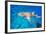 Lemon Sharks Swim among Fish in Pacific Ocean-BlueOrange Studio-Framed Photographic Print