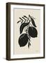 Lemon Silhouette II-Becky Thorns-Framed Art Print