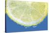 Lemon Slice-Carrie Webster-Stretched Canvas