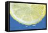 Lemon Slice-Carrie Webster-Framed Stretched Canvas