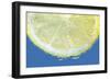 Lemon Slice-Carrie Webster-Framed Photographic Print