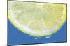 Lemon Slice-Carrie Webster-Mounted Photographic Print