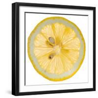 Lemon Slice-Steve Gadomski-Framed Premium Photographic Print