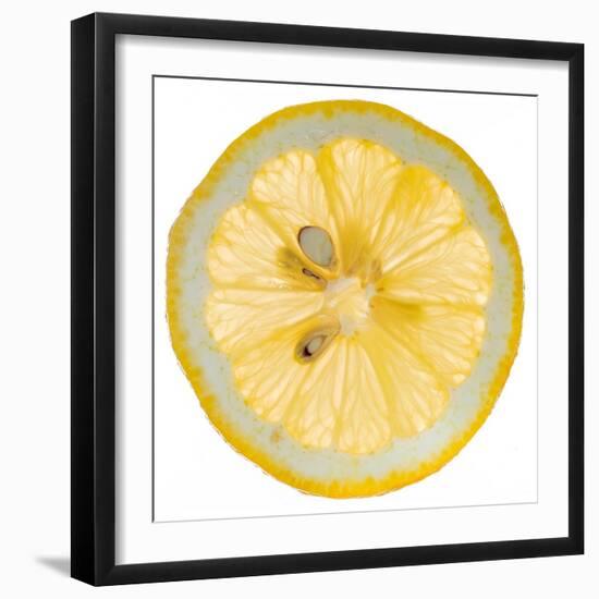 Lemon Slice-Steve Gadomski-Framed Premium Photographic Print