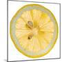 Lemon Slice-Steve Gadomski-Mounted Premium Photographic Print