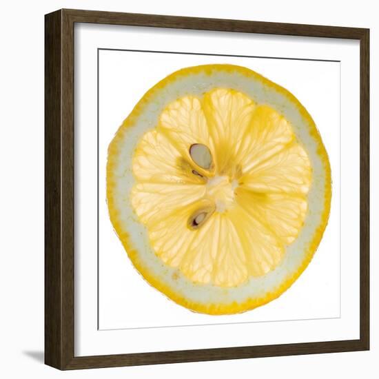 Lemon Slice-Steve Gadomski-Framed Photographic Print