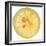 Lemon Slice-Steve Gadomski-Framed Photographic Print