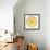 Lemon Slice-Steve Gadomski-Framed Photographic Print displayed on a wall