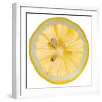 Lemon Slice-Steve Gadomski-Framed Photographic Print