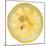 Lemon Slice-Steve Gadomski-Mounted Photographic Print