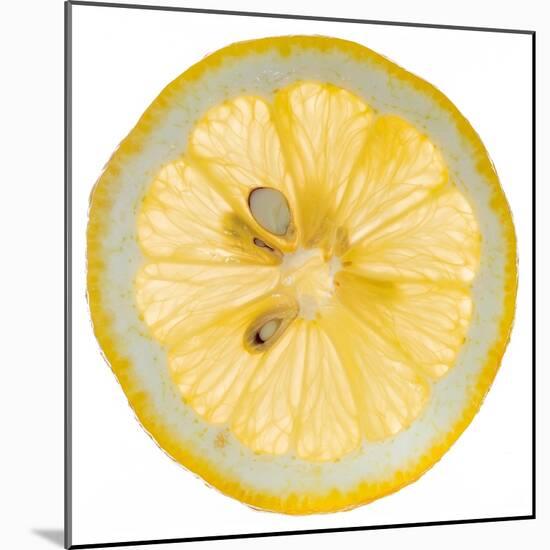 Lemon Slice-Steve Gadomski-Mounted Photographic Print