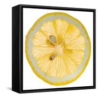 Lemon Slice-Steve Gadomski-Framed Stretched Canvas