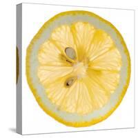 Lemon Slice-Steve Gadomski-Stretched Canvas