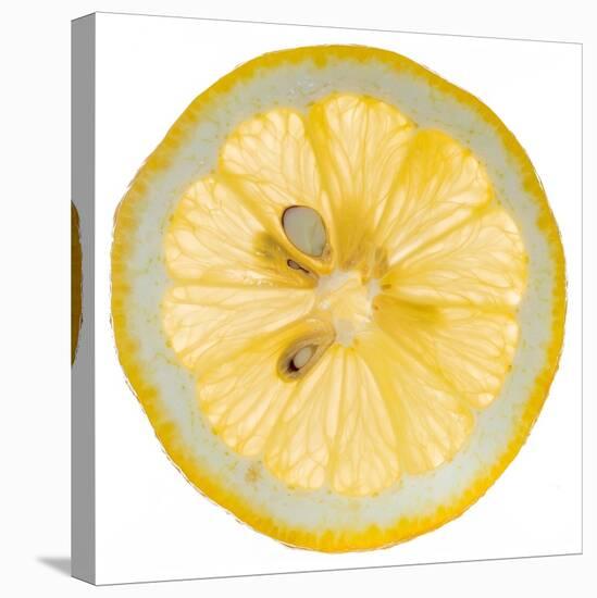 Lemon Slice-Steve Gadomski-Stretched Canvas