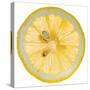 Lemon Slice-Steve Gadomski-Stretched Canvas