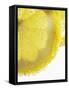 Lemon Slices in Water-Victoria Firmston-Framed Stretched Canvas