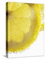 Lemon Slices in Water-Victoria Firmston-Stretched Canvas