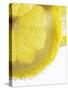 Lemon Slices in Water-Victoria Firmston-Stretched Canvas