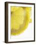 Lemon Slices in Water-Victoria Firmston-Framed Photographic Print