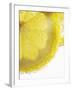 Lemon Slices in Water-Victoria Firmston-Framed Photographic Print