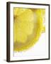 Lemon Slices in Water-Victoria Firmston-Framed Photographic Print