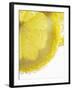 Lemon Slices in Water-Victoria Firmston-Framed Photographic Print