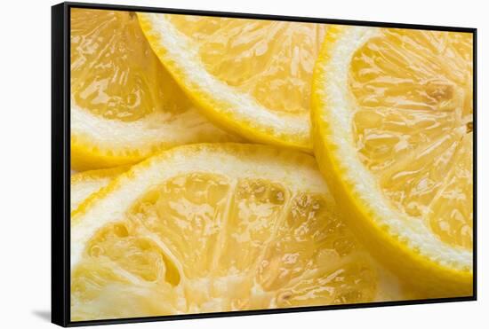 Lemon Slices Number 3-Steve Gadomski-Framed Stretched Canvas