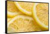 Lemon Slices Number 3-Steve Gadomski-Framed Stretched Canvas