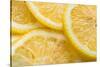 Lemon Slices Number 3-Steve Gadomski-Stretched Canvas