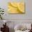 Lemon Slices Number 3-Steve Gadomski-Photographic Print displayed on a wall