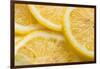 Lemon Slices Number 3-Steve Gadomski-Framed Photographic Print