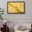 Lemon Slices Number 3-Steve Gadomski-Framed Photographic Print displayed on a wall