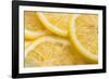 Lemon Slices Number 3-Steve Gadomski-Framed Photographic Print